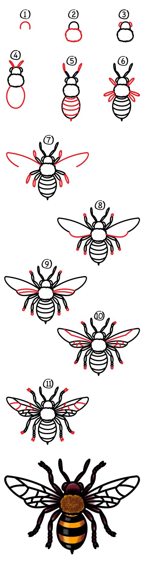 How To Draw A Realistic Bee