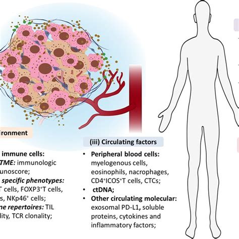 An Overview Of Predictive Biomarkers For Immune Checkpoint Inhibitors