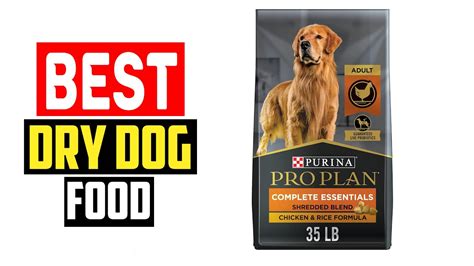 Top 5 Best Dry Dog Food In 2024 Youtube