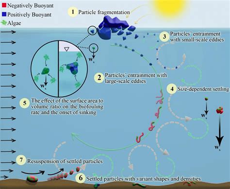 Frontiers Evidence Of Microplastic Size Impact On Mobility And