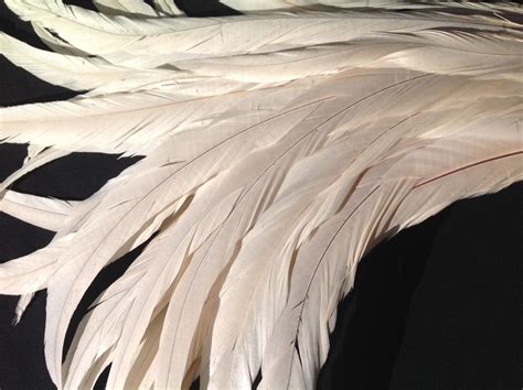 Ivory White Rooster Feathers Long - Delicia Feathers