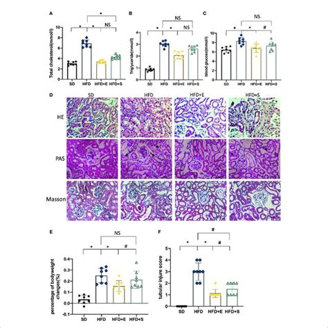 Exenatide Improves HFD Induced Weight Gain Dyslipidemia And Renal