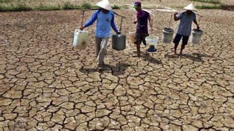 Dilanda Kekeringan Petani Di Takalar Sulsel Terancam Gagal Panen