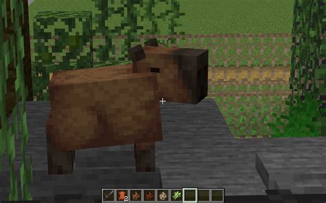 Capybara | Minecraft Mobs Wiki | Fandom