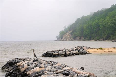 Westmoreland State Park In Montross, VA | America's State Parks