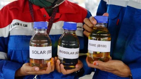 Kilang Pertamina Plaju Produksi Biosolar 30 Ribu 40 Ribu Kl Bulan