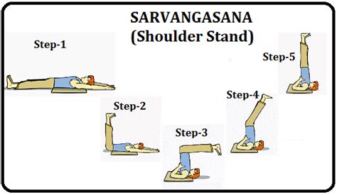 Yoga Guidance Yoga Guidance Sarvangasana Shoulder Stand