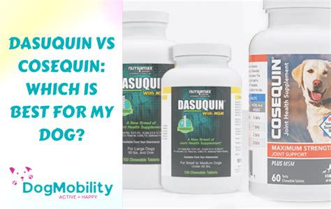 Dasuquin vs Cosequin: Which Is Best For My Dog? [Comparison]