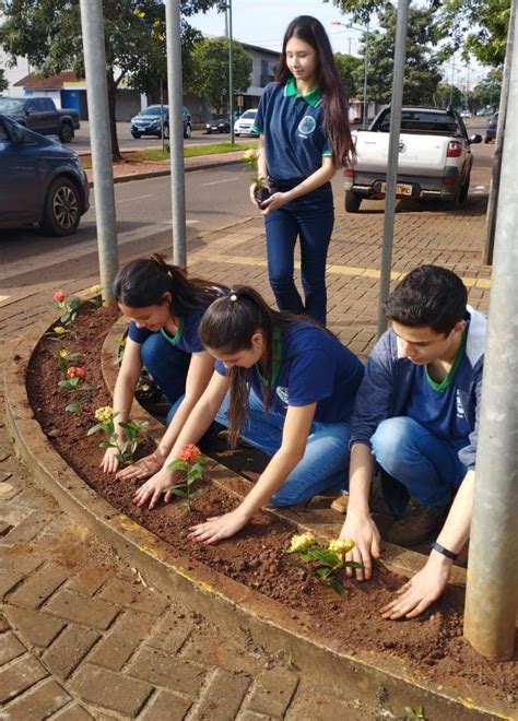 Projeto Florir Canteiros Centrais De Palotina Est O Recebendo Novas