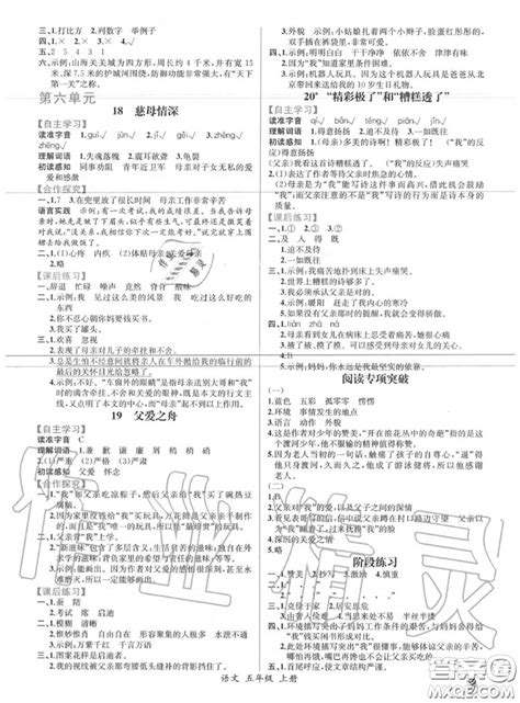 2020年秋同步导学案课时练五年级语文上册人教版答案 答案圈