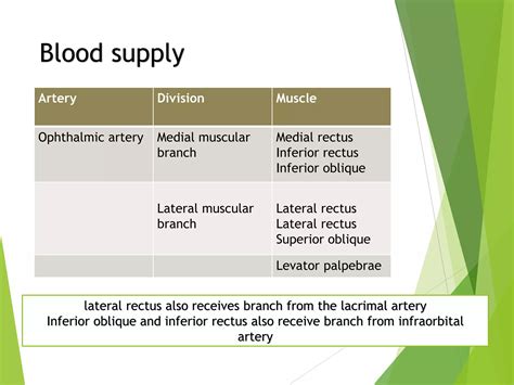 Anatomy And Physiology Of Extraocular Muscles Ppt