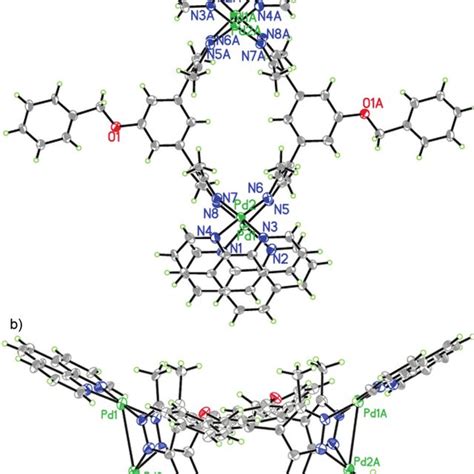 Ortep Diagram Of The Molecular Structure Of 4·4no 3 A Top View And Download Scientific