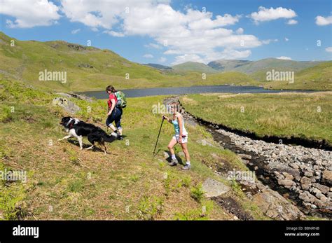 Fell Walking In The Lake District National Park Cumbria England Two