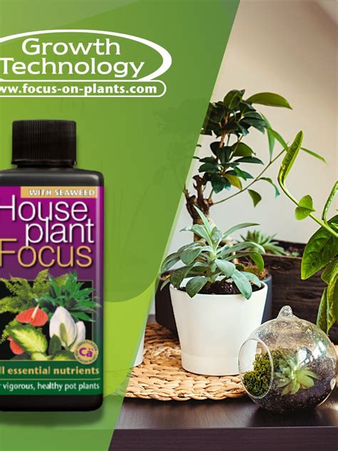 Growth Technology Houseplant Focus Ml Npk Plant