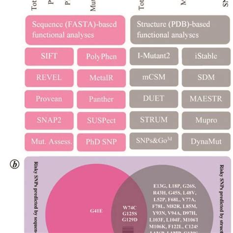 The In Silico Workflow Of The Present Approach Is Used For Predicting