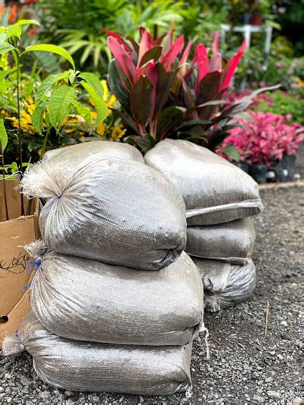 Bolsa De Tierra Negra Abonada Preparada ReforestadoraSantaFe