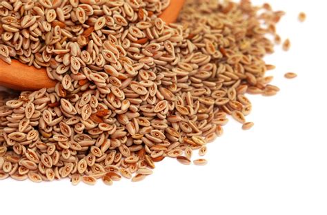 8 Surprising Benefits of Psyllium - Yabibo
