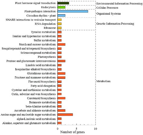 Pathway Analysis Of Degs Based On Kegg Each Bar Represents The Total