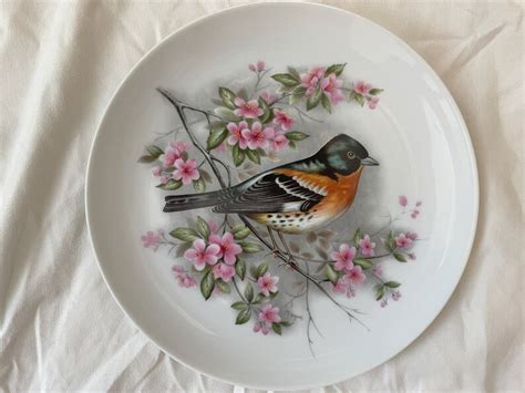 Kaiser West German Antique Bird Plates Set Of 4 Etsy