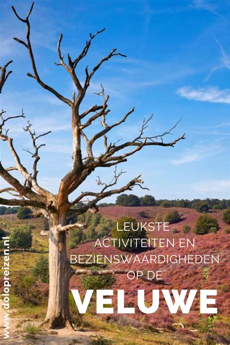 Het Nationaal Park de Hoge Veluwe is één van de twee prachtige