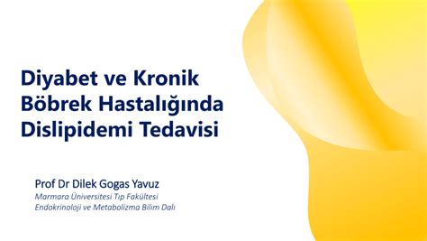 Pdf Diyabet Ve Kronik B Brek Hastal Nda Dislipidemi Tedavisi