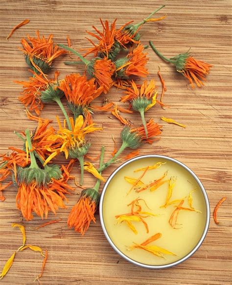 15 Homemade Wound Healing Salve Recipes