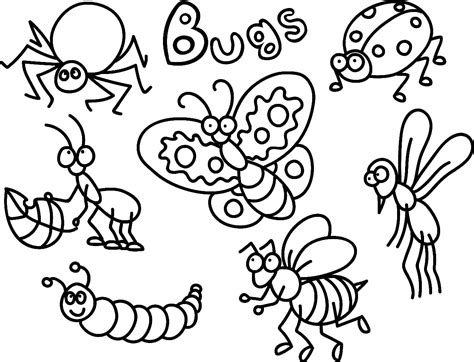 Dibujos De Insectos Para Colorear Kinder