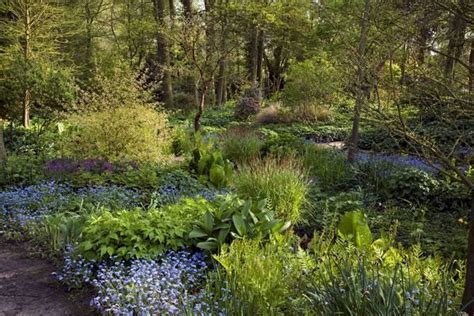 Beth Chatto S Woodland Garden