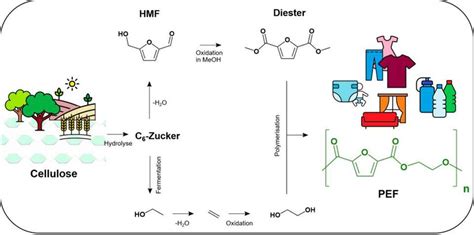 Einfaches Verfahren F R Kunststoff Aus Biomasse