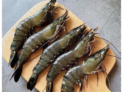 Fresh Frozen Shrimp Black Tiger Fresh Seafood High Quality Shrimp Black