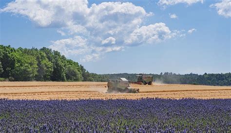 Descubra o charme da região da Provence TT Operadora Turismo