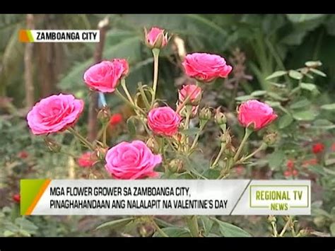 Regional Tv News Paghahanda Sa Valentine S Day Youtube