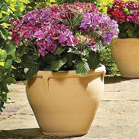 Apta Handcrafted Natural Himalaya Terracotta Planter Various Sizes