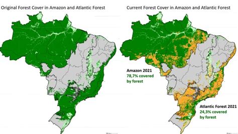 Amazônia têm áreas de cobertura florestal em situação tão crítica