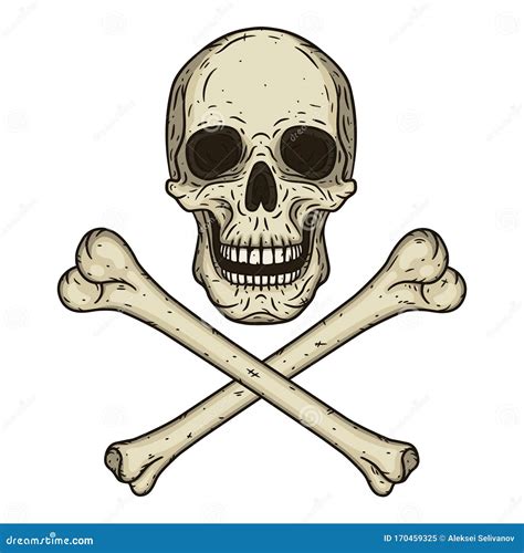 Human Skull With Two Crossed Bones Isolated On White Background Vector