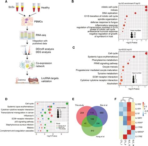 Frontiers Integrated Transcriptome Profiling Revealed That Elevated