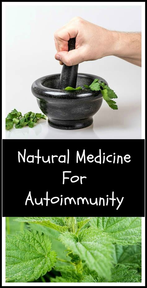 Natural Medicine For Autoimmune Disease Organic Palace Queen Natural Medicine Natural