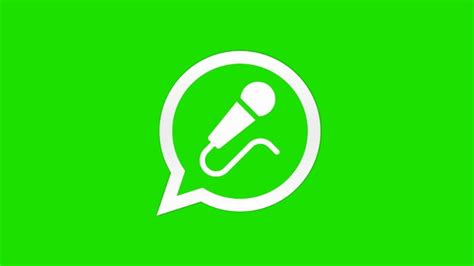 Cómo Modificar La Voz En Los Audios De Whatsapp