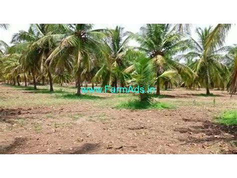 Acres Coconut Farm Land For Sale Near Hiriyur Challakere Road