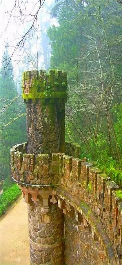 Enchanting Ivy Tower Enchanted Ivy Covered Towers Castle Castles