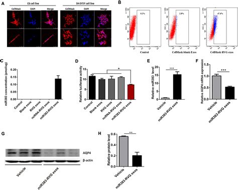 Frontiers Serum Metabolomics Associating With Circulating Microrna