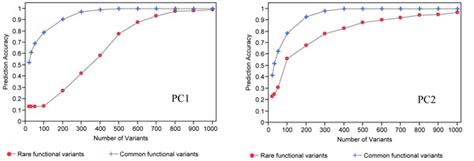 Predictive Accuracy Of Common Versus Rare Functional Variants Based On