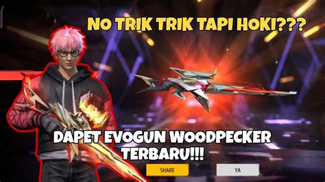 Spin Evogun Woodpecker Majestic Prowler Terbaru Youtube