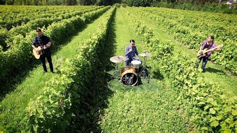 Lendemain De Veille Une Bonne Bouteille De Vin