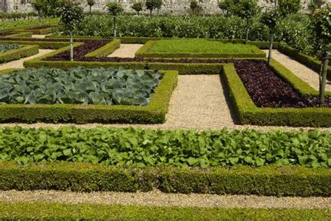 5 Ways To Landscape With Edible Plants This Fall Modern Farmer