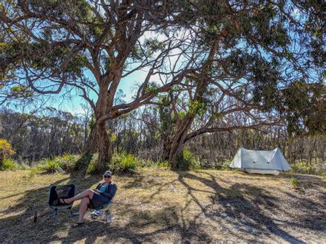 Best Places to See Wildlife in Tasmania