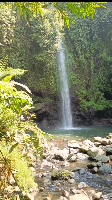 Curug Belot Keindahan Alam Tersembunyi Di Desa Rempoah Jejak Persepsi