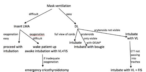 Airway management flowchart. OELM: Optimal external laryngeal ...