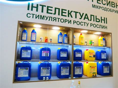 Группа компаний Долина - перспективы дальнейшего развития