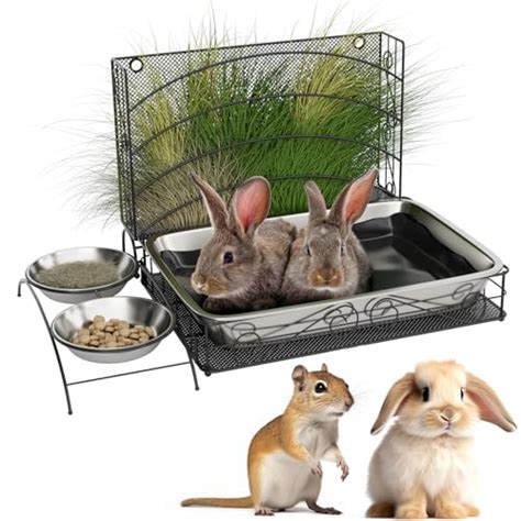 The Best Rabbit Hay Feeders And Litter Trays I Tested Them All